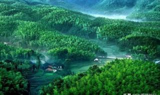 什么天下秀什么天下雄 什么天下秀什么天下雄